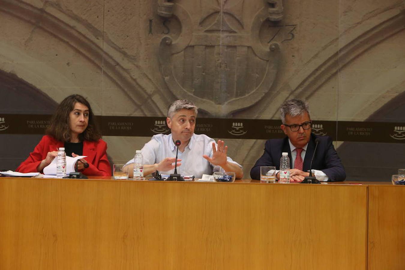 Comisión parlamentaria por los aparcamientos del San Pedro