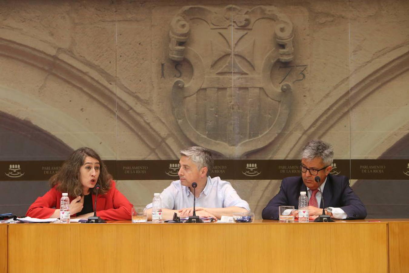 Comisión parlamentaria por los aparcamientos del San Pedro