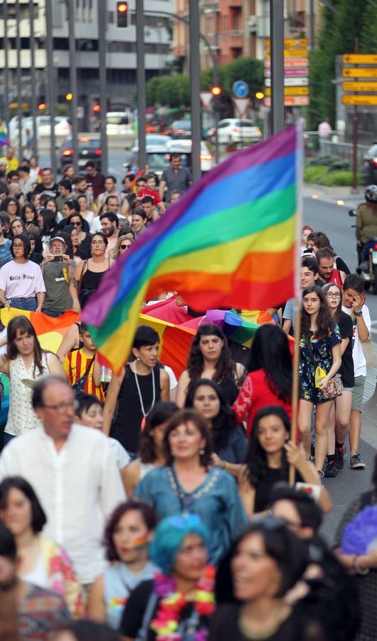 Manifestación del orgullo LGTBi en Logroño