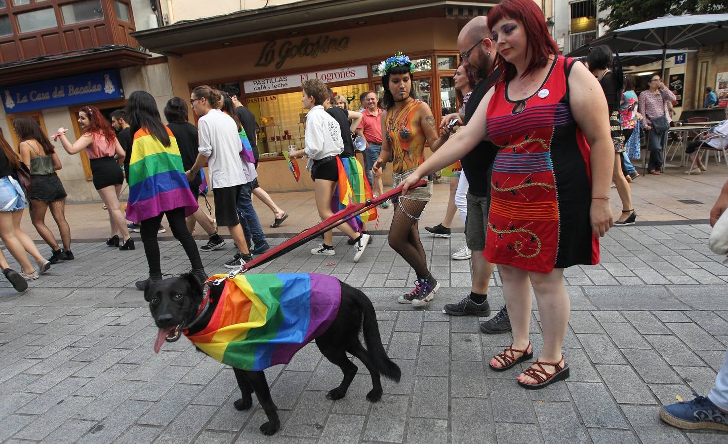 Manifestación del orgullo LGTBi en Logroño