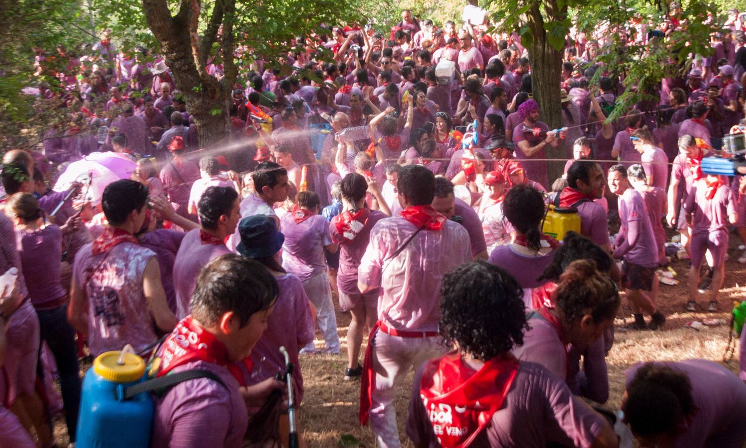 Haro vive su Batalla del Vino