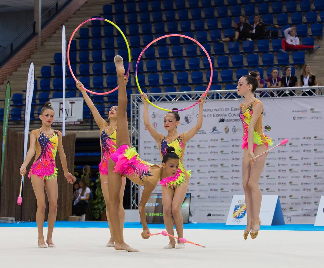 Campeonato de España por equipos y Copa de España por conjuntos en Logroño