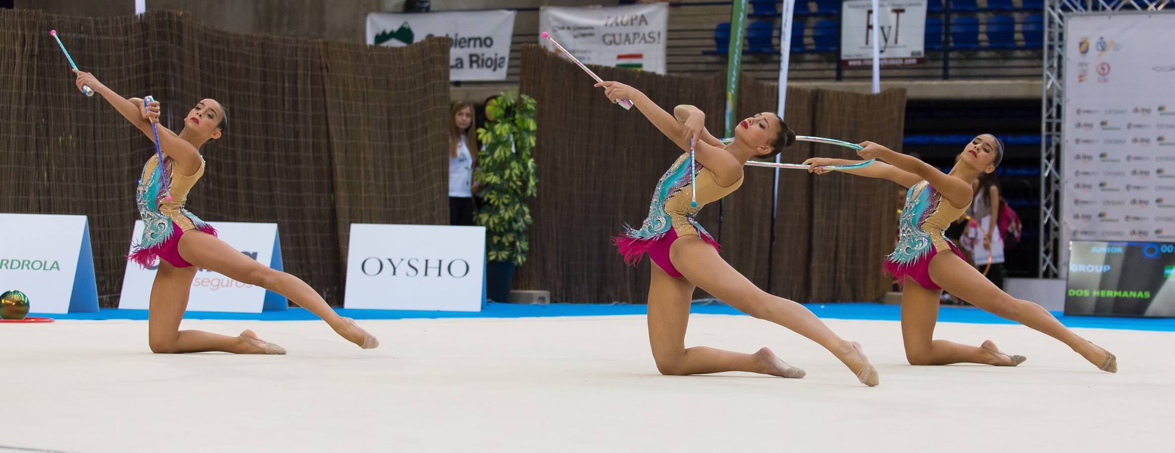 Campeonato de España por equipos y Copa de España por conjuntos en Logroño