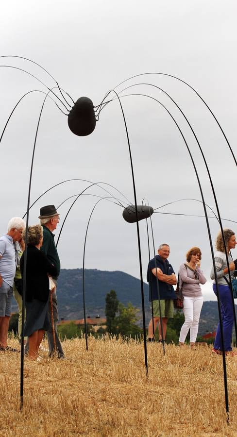 Las imágenes del certamen de 'land art' en Santa Lucía