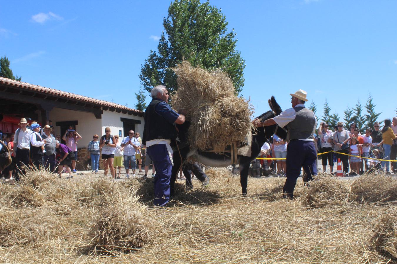 Ocón celebra la fiesta de la molienda