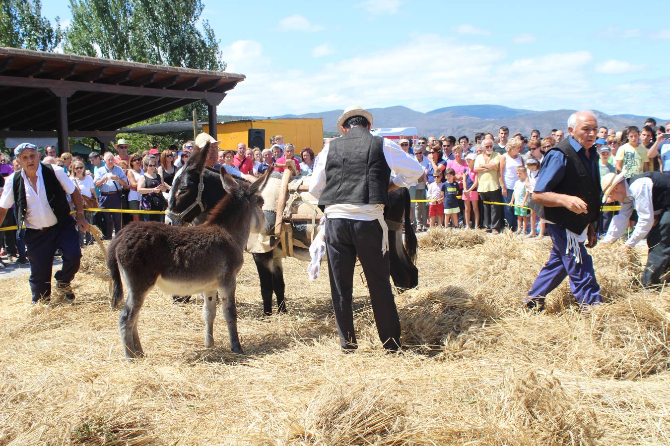 Ocón celebra la fiesta de la molienda