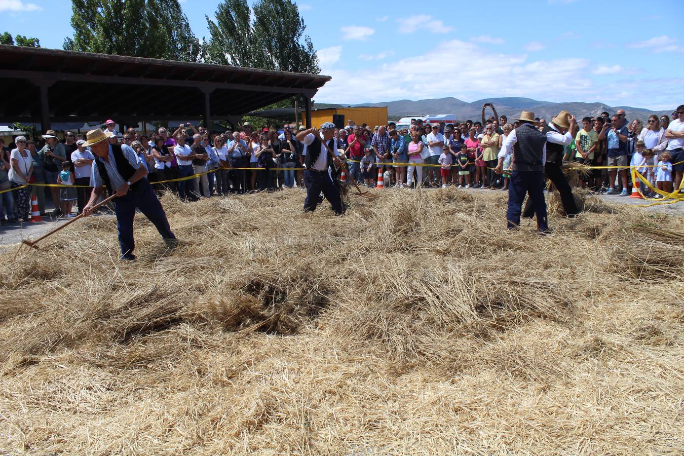 Ocón celebra la fiesta de la molienda