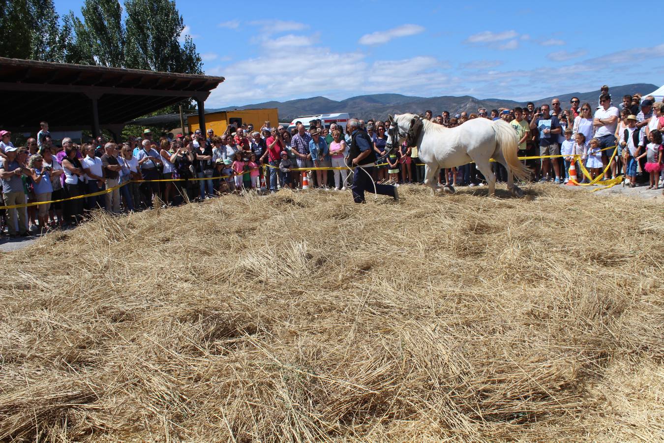 Ocón celebra la fiesta de la molienda