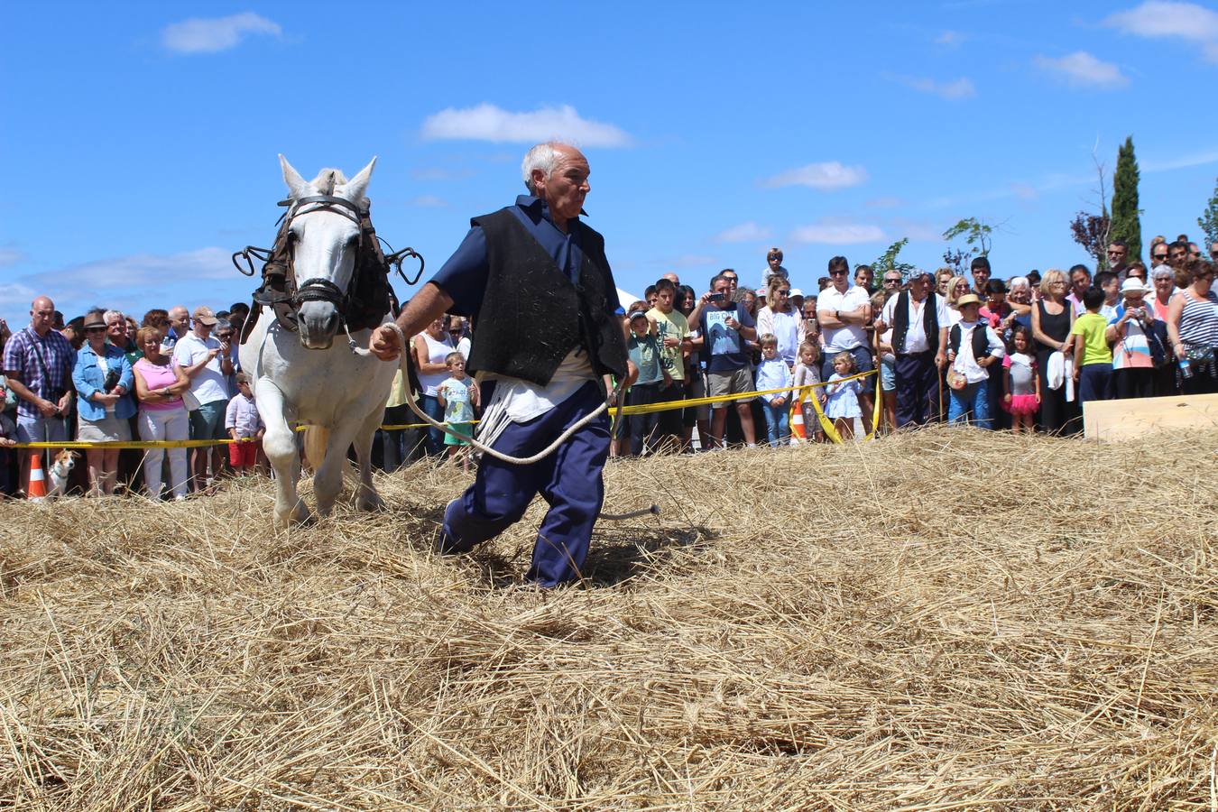 Ocón celebra la fiesta de la molienda