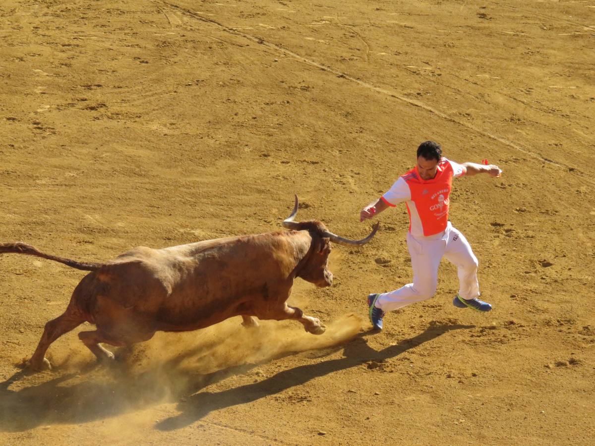 Cuarto día de las fiestas de Alfaro, dedicado a los mayores.