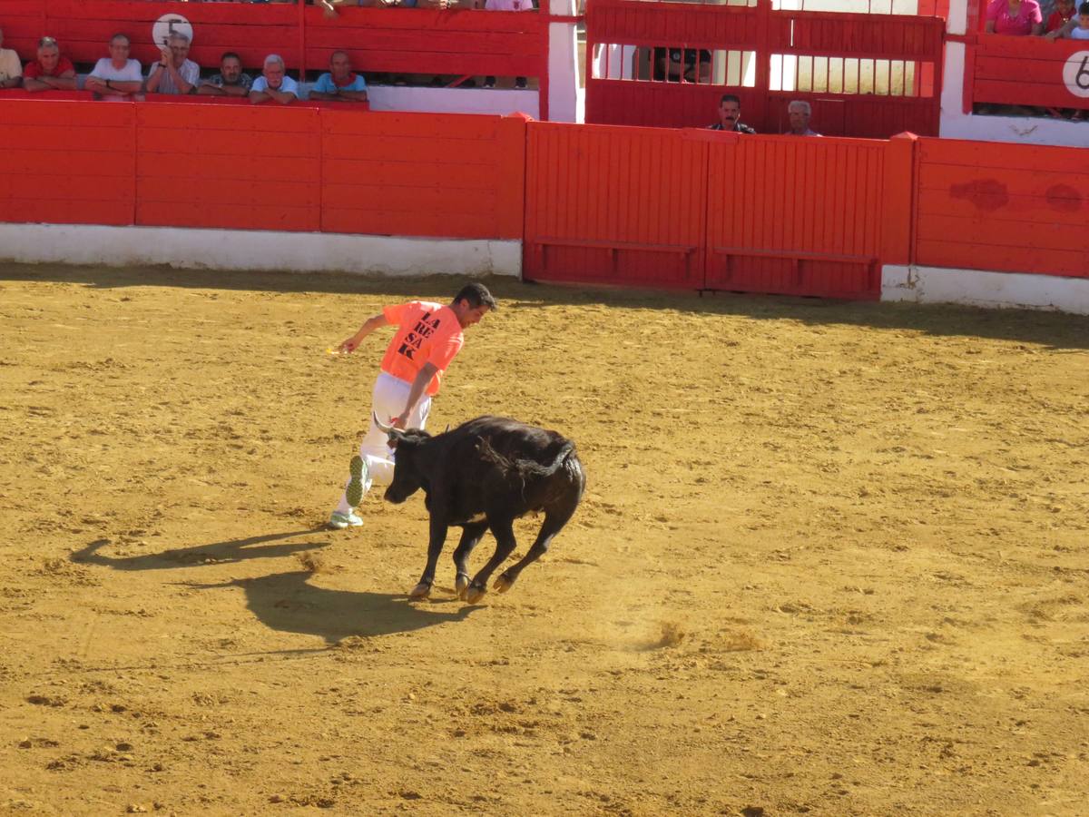 Cuarto día de las fiestas de Alfaro, dedicado a los mayores.