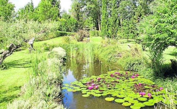 Imagen principal - Antonio Bartolomé, en una de las zonas del jardín, en las que no falta alguna que otra laguna. 