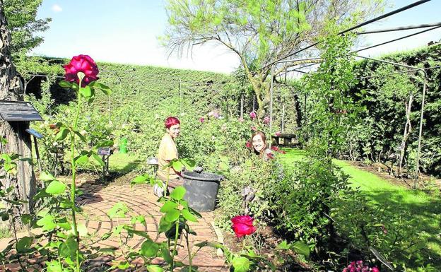 Dos de las voluntarias que ayudan en el cuidado, se ocupan de las plantas de ‘La rosaleda’.