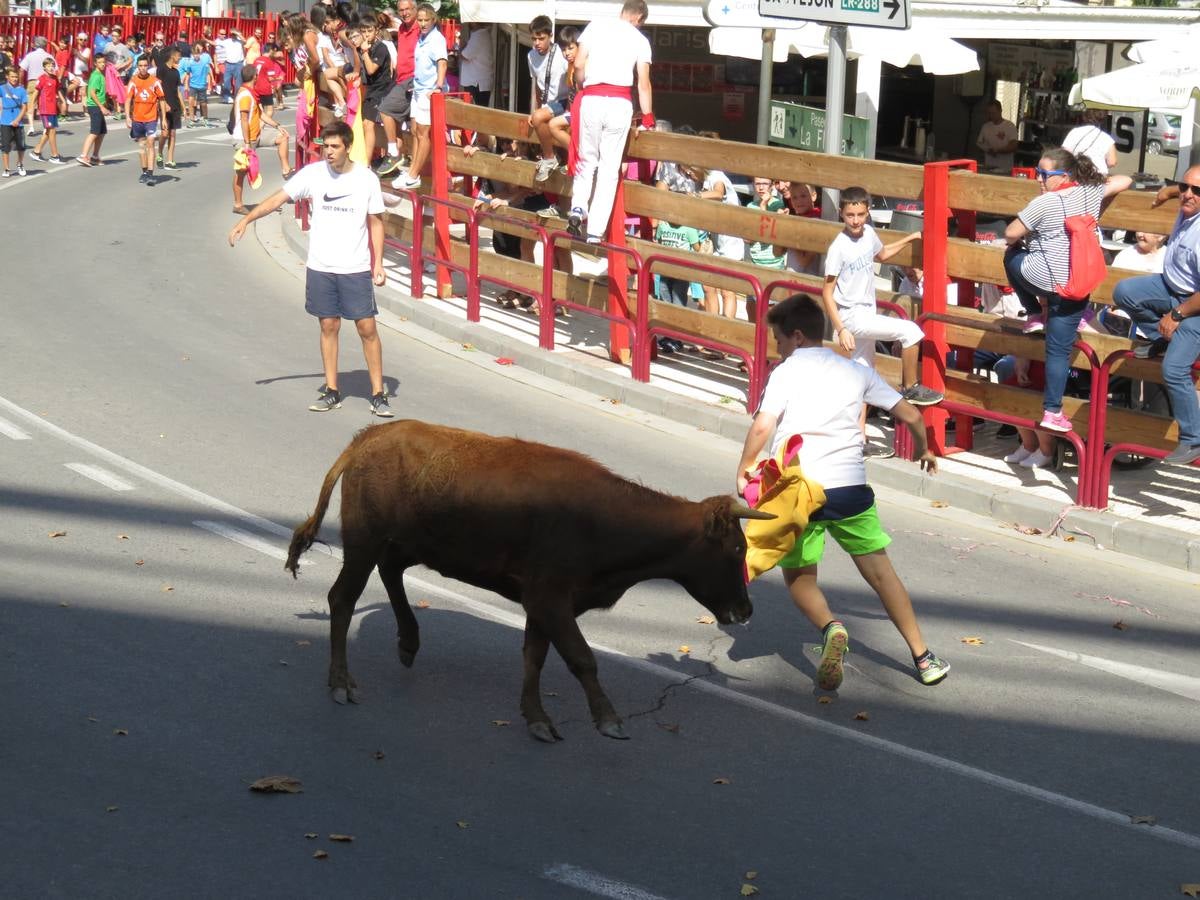 Vaquillas, comidas en cuadrilla, degustaciones, gigantes y cabezudos... un sinfín de actos en las fiestas alfareñas.