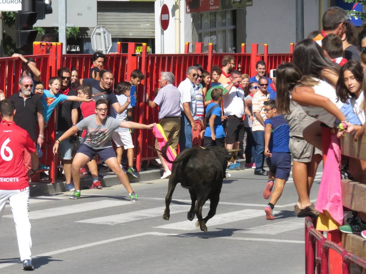 Vaquillas, comidas en cuadrilla, degustaciones, gigantes y cabezudos... un sinfín de actos en las fiestas alfareñas.