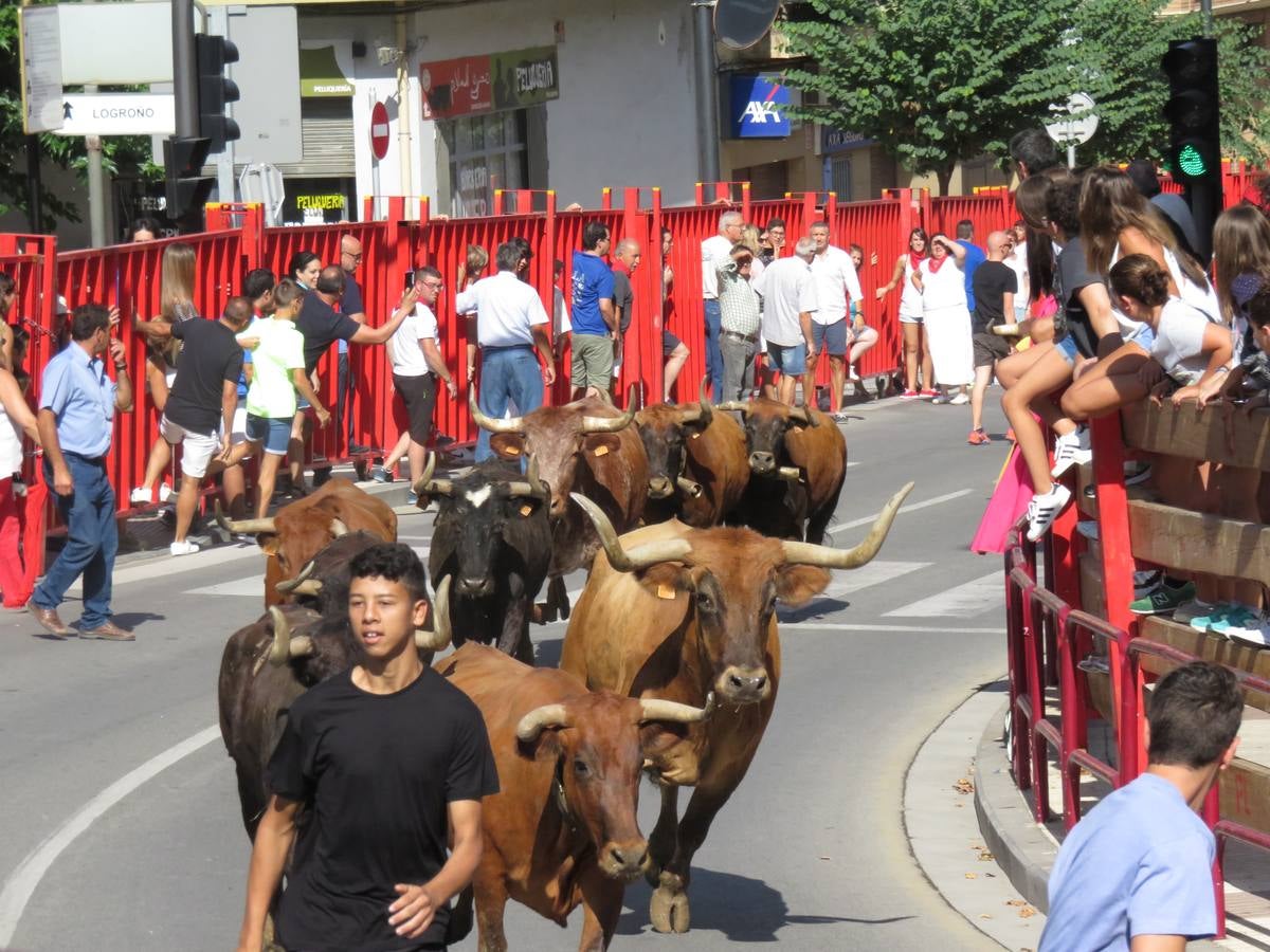 Vaquillas, comidas en cuadrilla, degustaciones, gigantes y cabezudos... un sinfín de actos en las fiestas alfareñas.