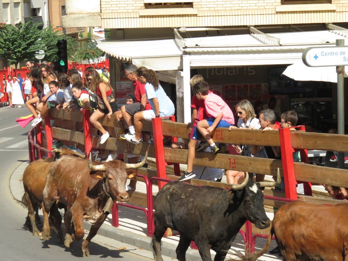 Vaquillas, comidas en cuadrilla, degustaciones, gigantes y cabezudos... un sinfín de actos en las fiestas alfareñas.