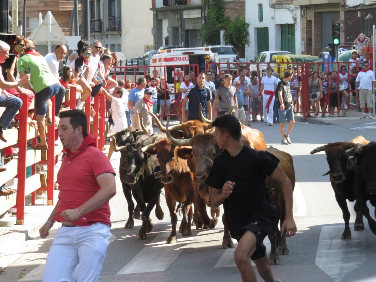 Vaquillas, comidas en cuadrilla, degustaciones, gigantes y cabezudos... un sinfín de actos en las fiestas alfareñas.