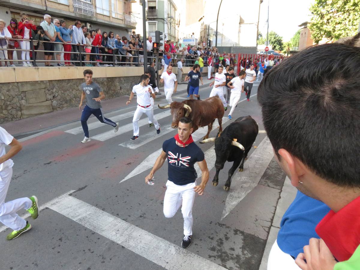 Alfaro sigue de fiestas con la celebración del Día de la Mujer