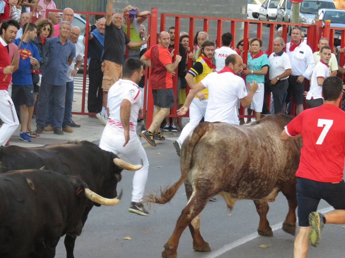 Alfaro sigue de fiestas con la celebración del Día de la Mujer