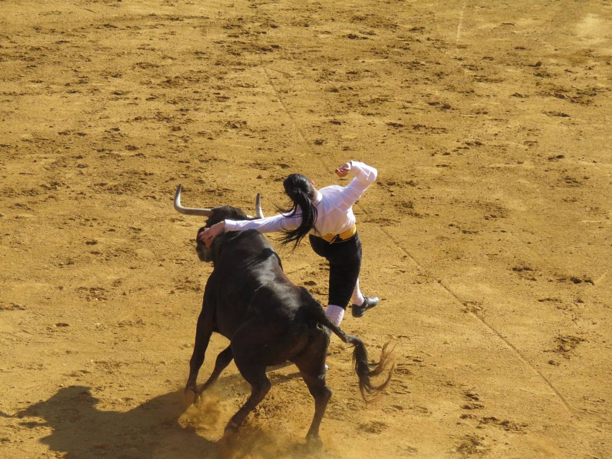 Alfaro sigue de fiestas con la celebración del Día de la Mujer