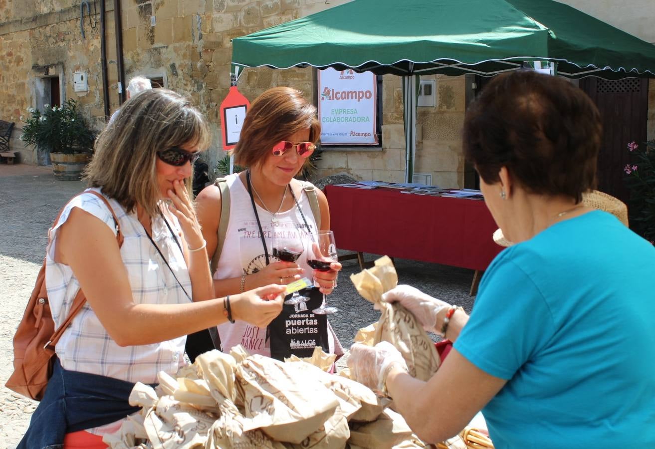 Se visitaron 11 bodegas y el proyecto EnverArte