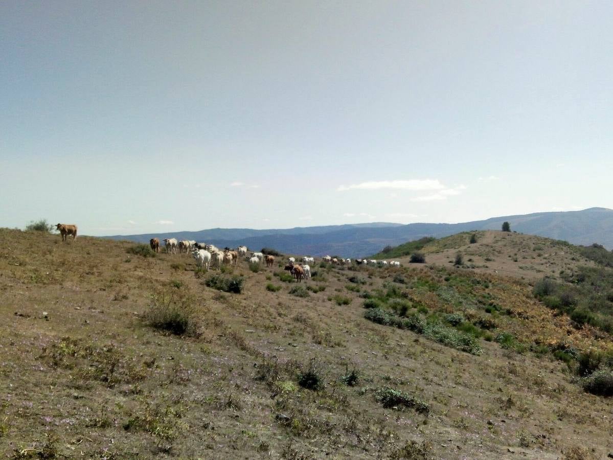 Hubo buen ambiente para enfrentarse al camino y buen almuerzo para recuperarse después