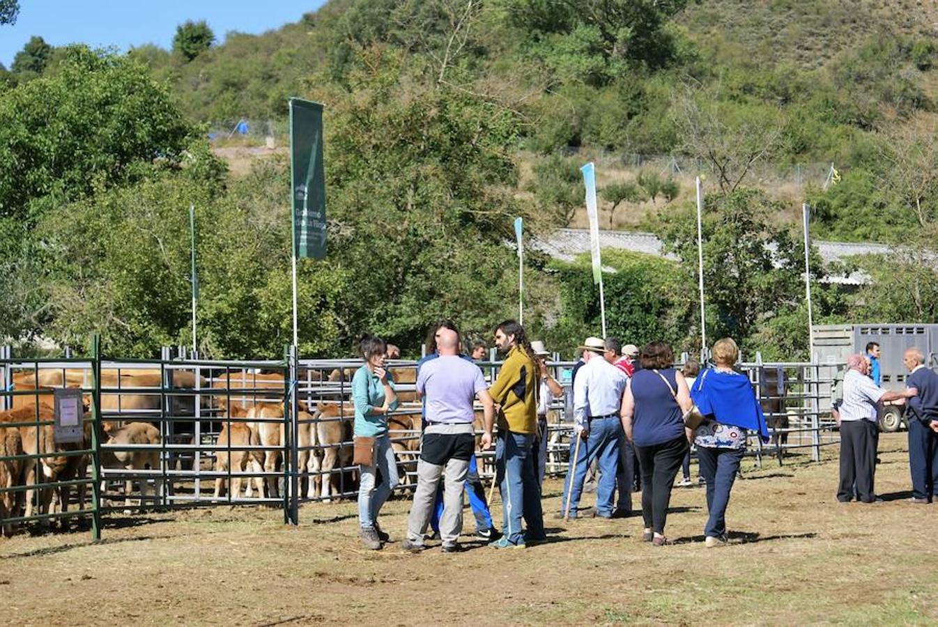 Tradición ganadera en Canales de la Sierra donde ayer se vivió su tradicional feria de ganado. Artesanía y productos de la tierra acompañaron una actividad que pelea por mantener su espacio y conservar el medio