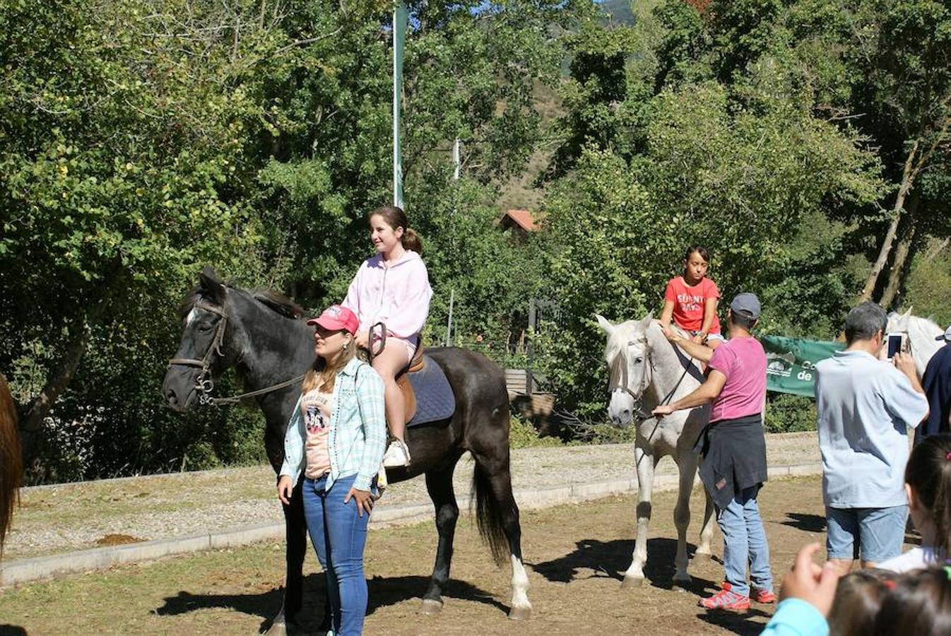 Tradición ganadera en Canales de la Sierra donde ayer se vivió su tradicional feria de ganado. Artesanía y productos de la tierra acompañaron una actividad que pelea por mantener su espacio y conservar el medio