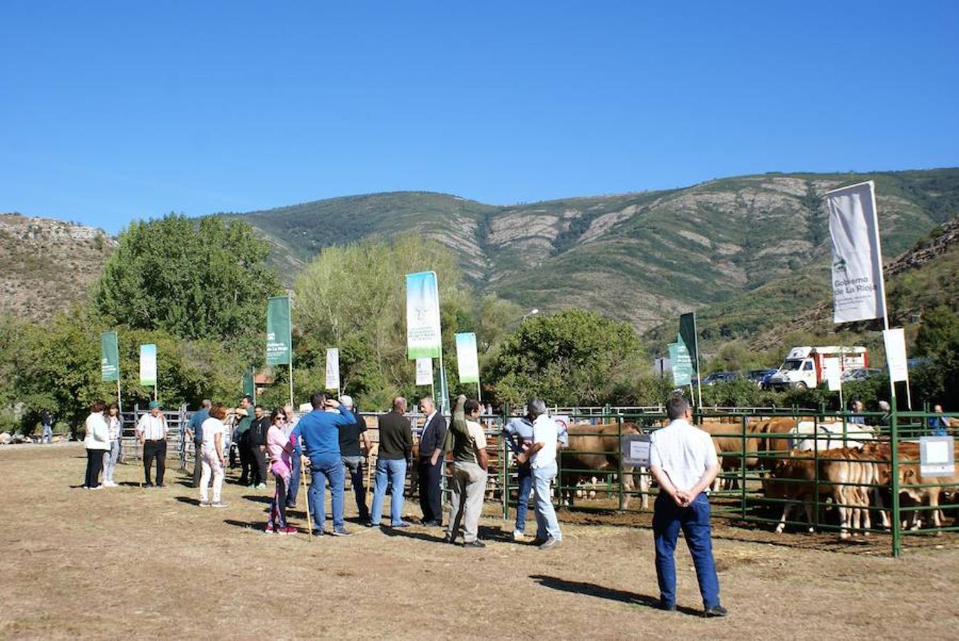 Tradición ganadera en Canales de la Sierra donde ayer se vivió su tradicional feria de ganado. Artesanía y productos de la tierra acompañaron una actividad que pelea por mantener su espacio y conservar el medio