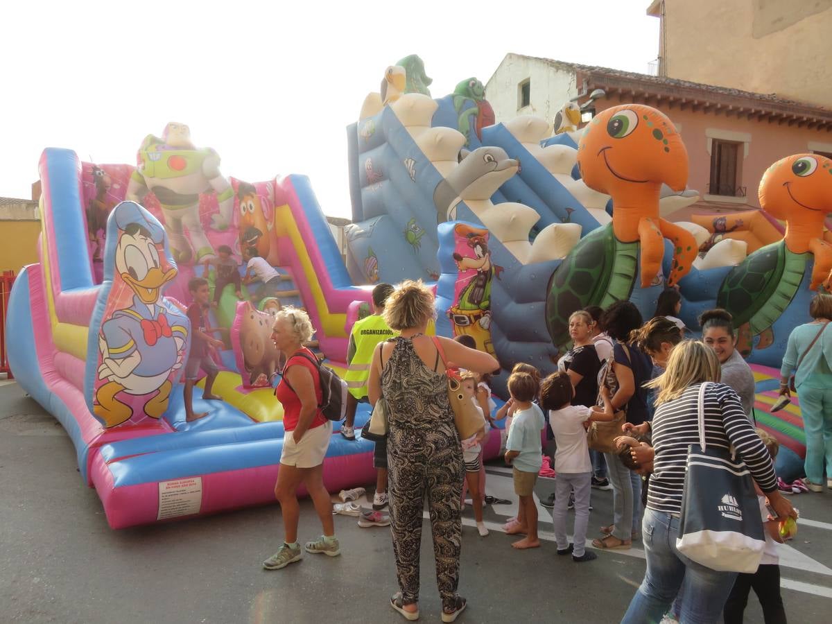 Imágenes de las vaquillas y de la procesión de las fiestas de Alfaro.