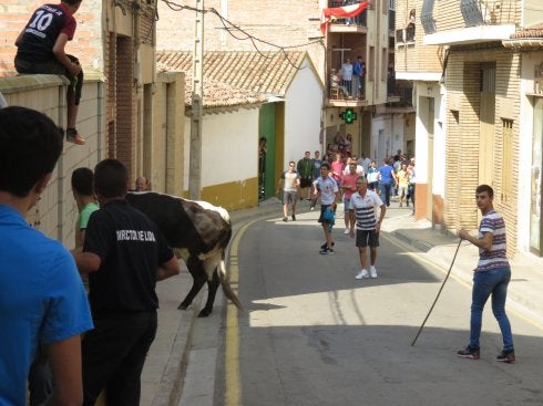 Momento en el que el manso sale del portal al que accedió. :: E.P.