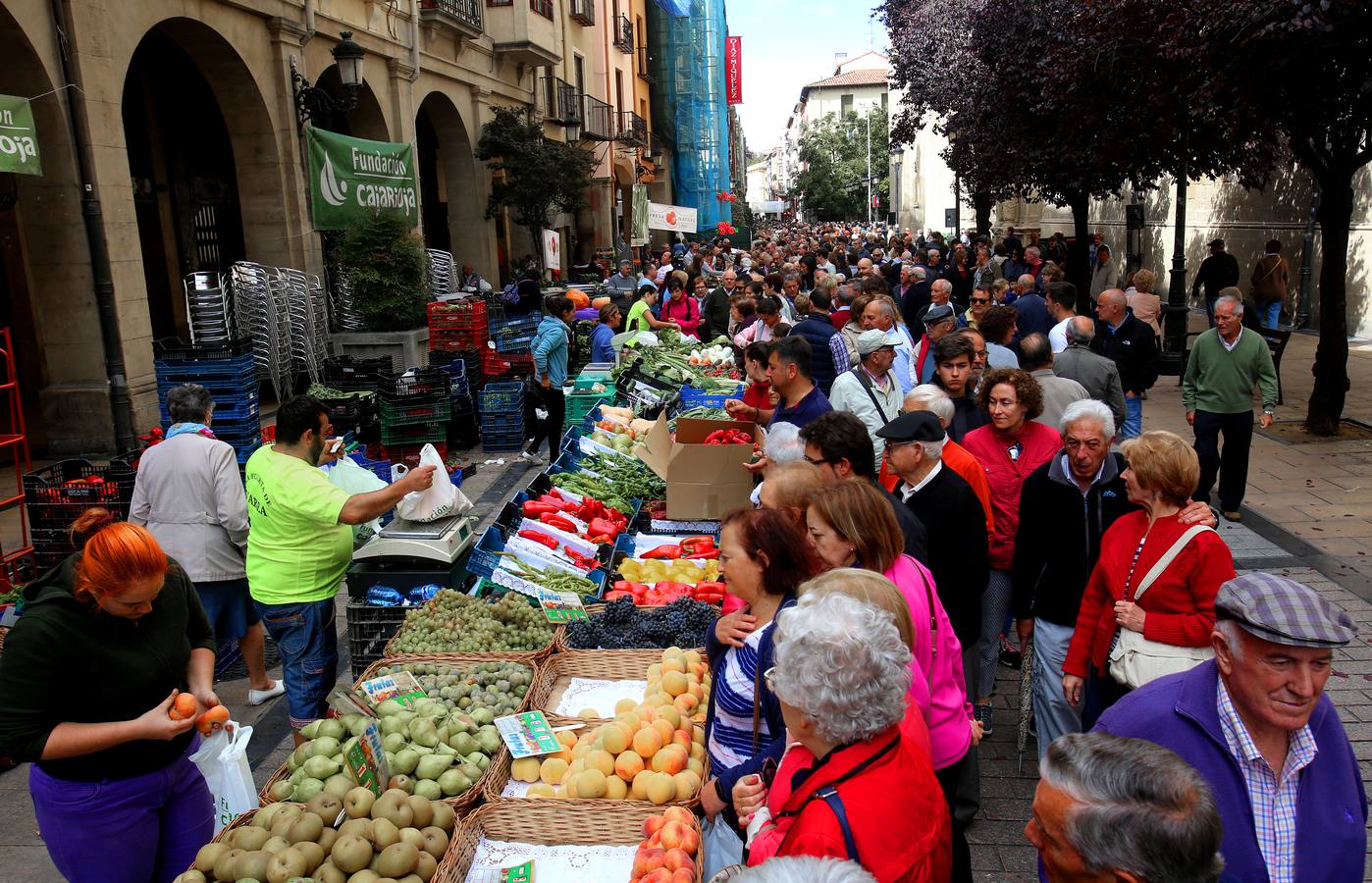 Decenas de riojanos desfilaron ayer por el tradicional certamen agrícola de Fundación Caja Rioja, a pesar del desapacible día