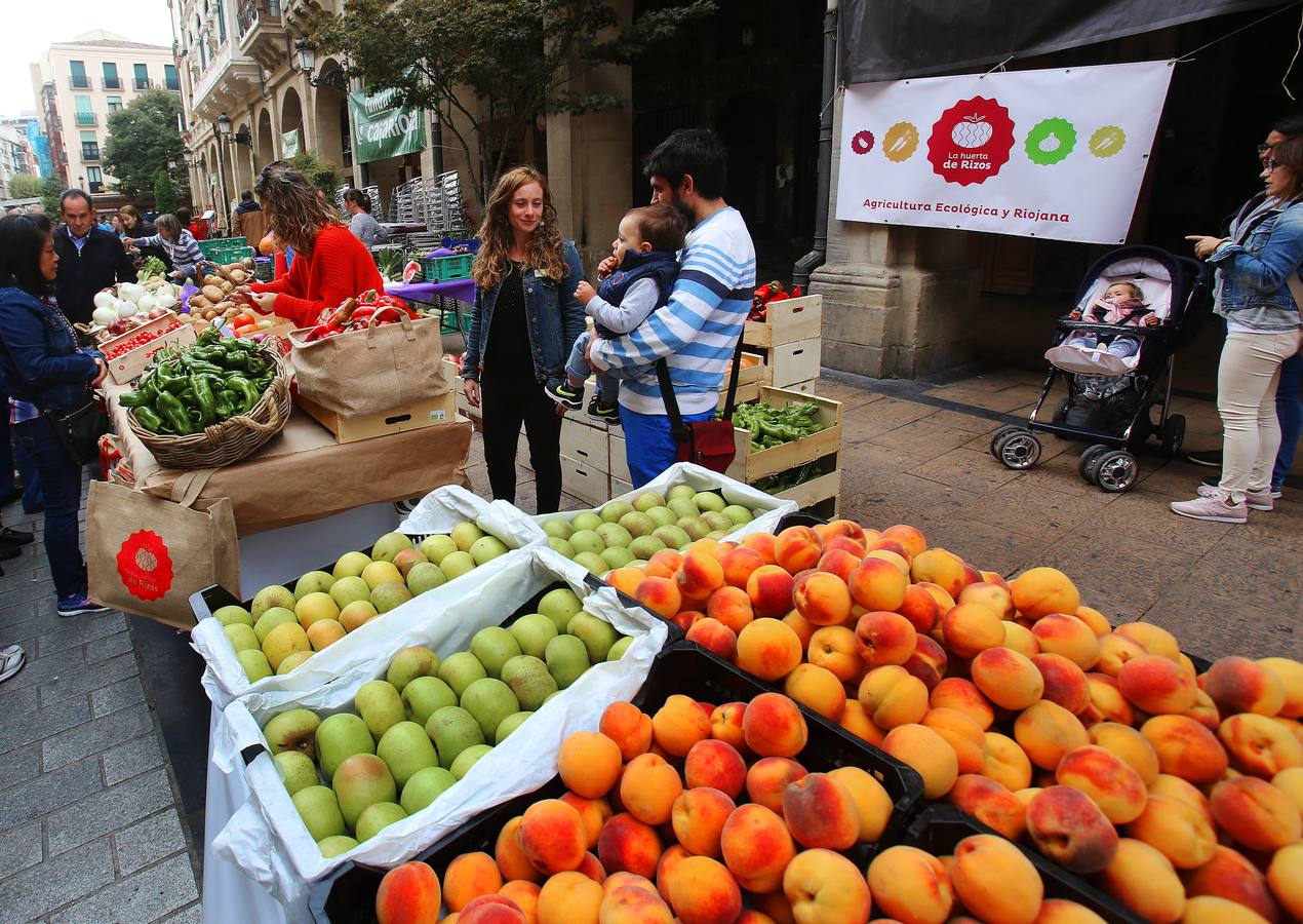 Decenas de riojanos desfilaron ayer por el tradicional certamen agrícola de Fundación Caja Rioja, a pesar del desapacible día