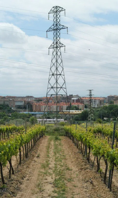 Torre de electriciad sobre uno de los viñedos de Bodegas Bilbaínas, con Haro al fondo. :: 