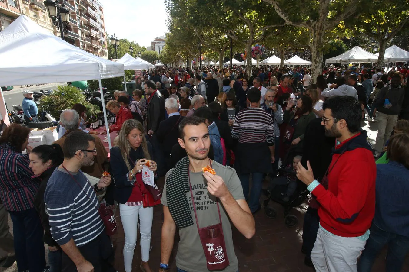 La federación de peñas de Logroño celebró en El Espolón la degustación de vinos y pinchos