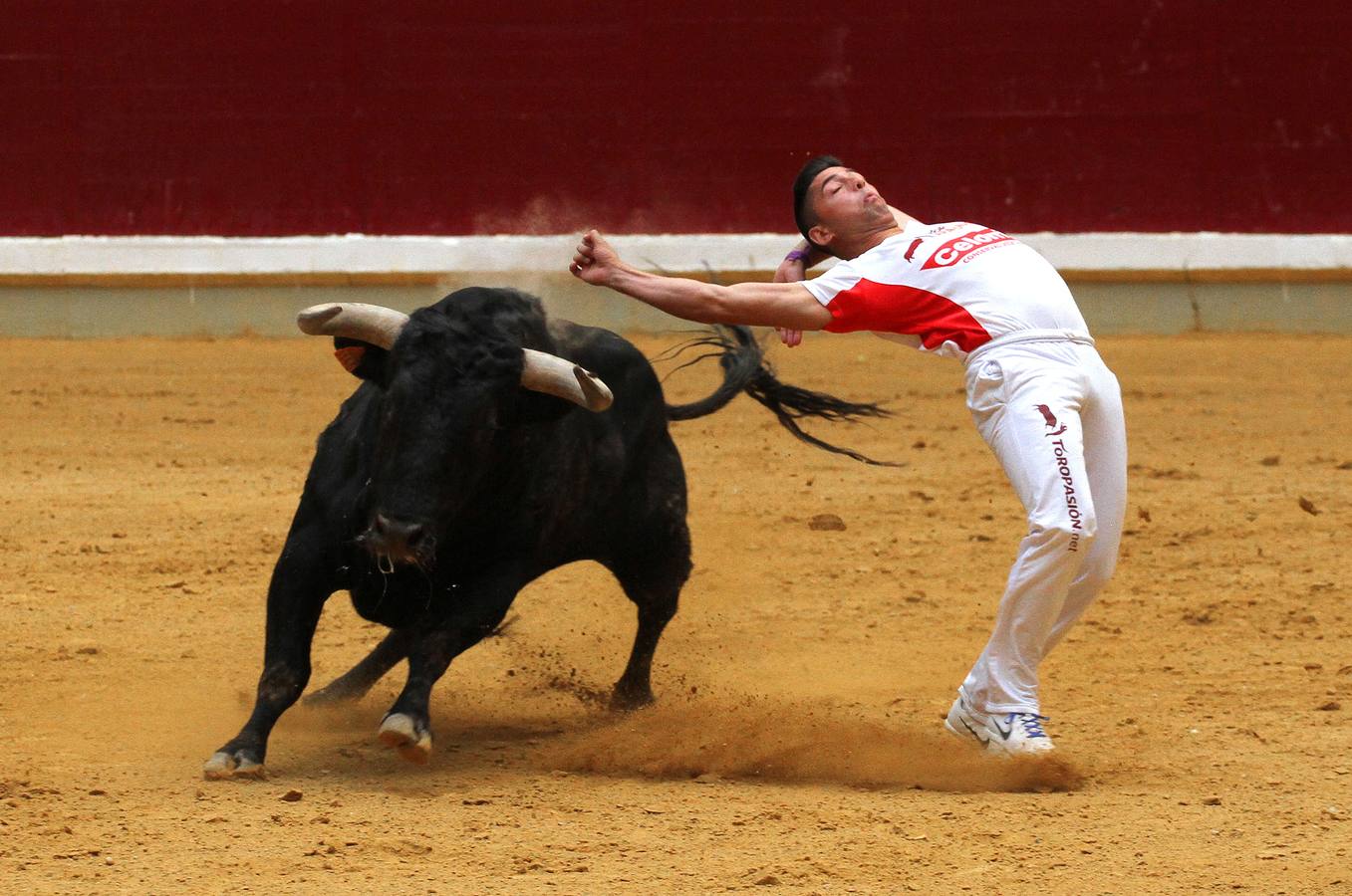 Pablo Martín gana la semifinal del concurso de recortadores