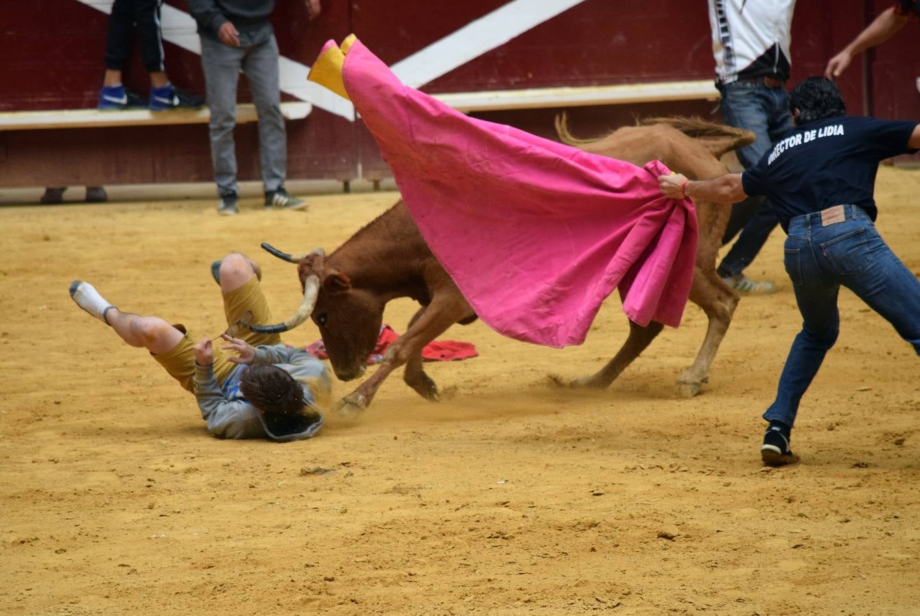 Las vaquillas, uno de los actos más concurridos de las fiestas de San Mateo ya han comenzado con el habitual éxito de público