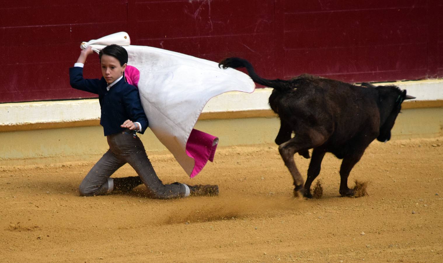 Las vaquillas, uno de los actos más concurridos de las fiestas de San Mateo ya han comenzado con el habitual éxito de público