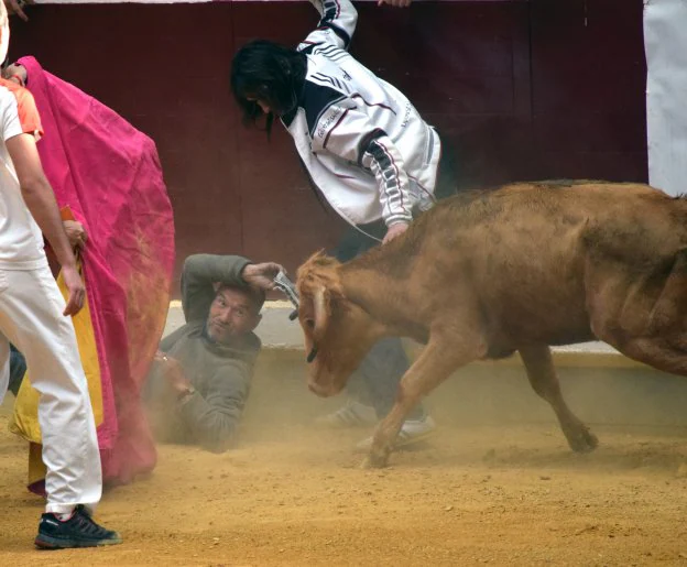 Izquierda, el pequeño Diego Mateos demuestra sus buenas maneras con una becerra y, derecha, diversos momentos en la suelta de vaquillas para los aficionados. Herreros