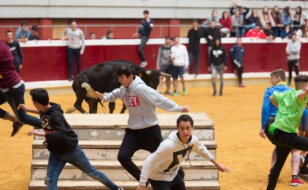 Las vaquillas volvieron a hacer disfrutar a participantes y público. :: sONIA tercero
