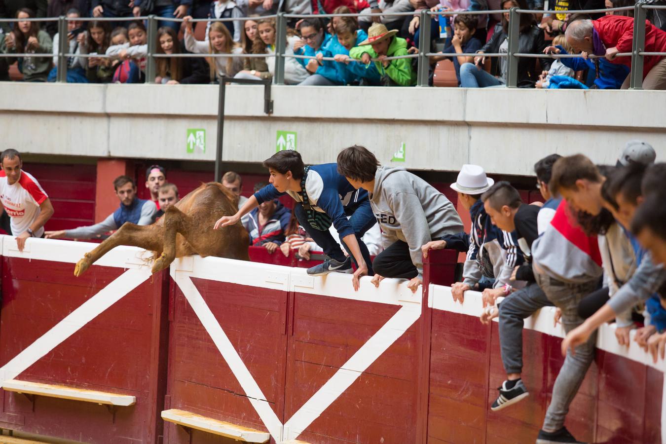 Los asistentes a las vaquillas disfrutaron de lo lindo con las vaquillas saltarinas de José Arriazu. También hubo exhibición de anillas por los campeones de España.