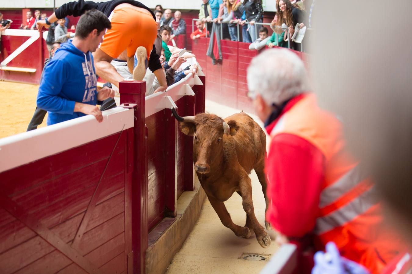 Los asistentes a las vaquillas disfrutaron de lo lindo con las vaquillas saltarinas de José Arriazu. También hubo exhibición de anillas por los campeones de España.