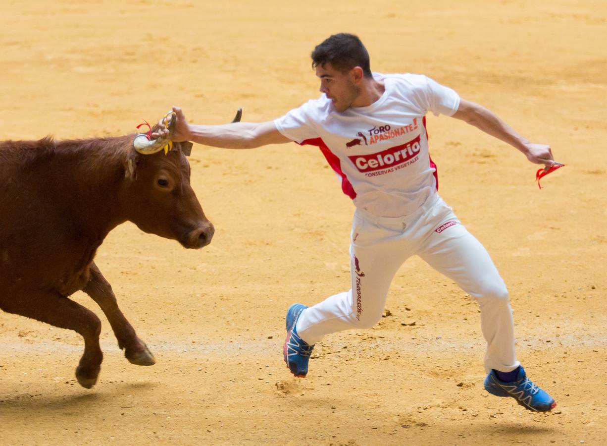 Los asistentes a las vaquillas disfrutaron de lo lindo con las vaquillas saltarinas de José Arriazu. También hubo exhibición de anillas por los campeones de España.