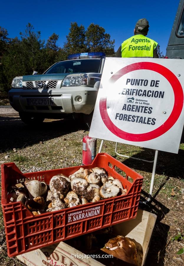 La avalancha de buscadores colapsa la cumbre Moncalvillo con más de 400 vehículos