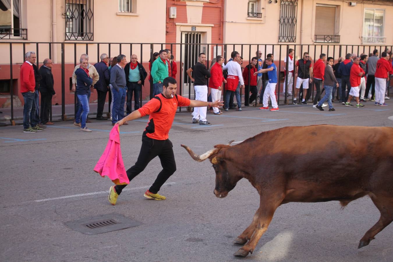 Tercer día de fiestas en Arnedo