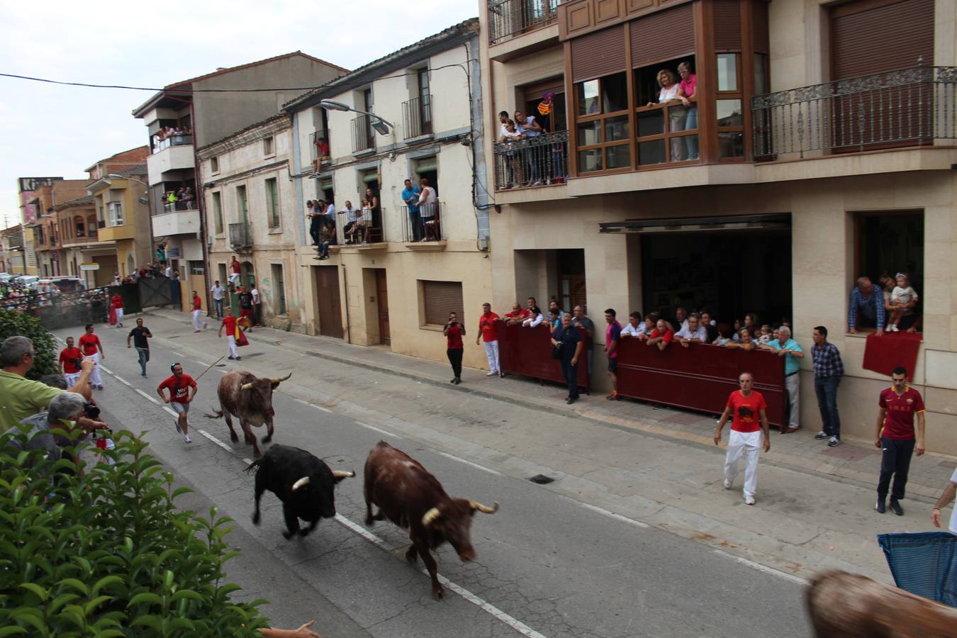 Las imágenes de la jornada festiva en Rincón de Soto