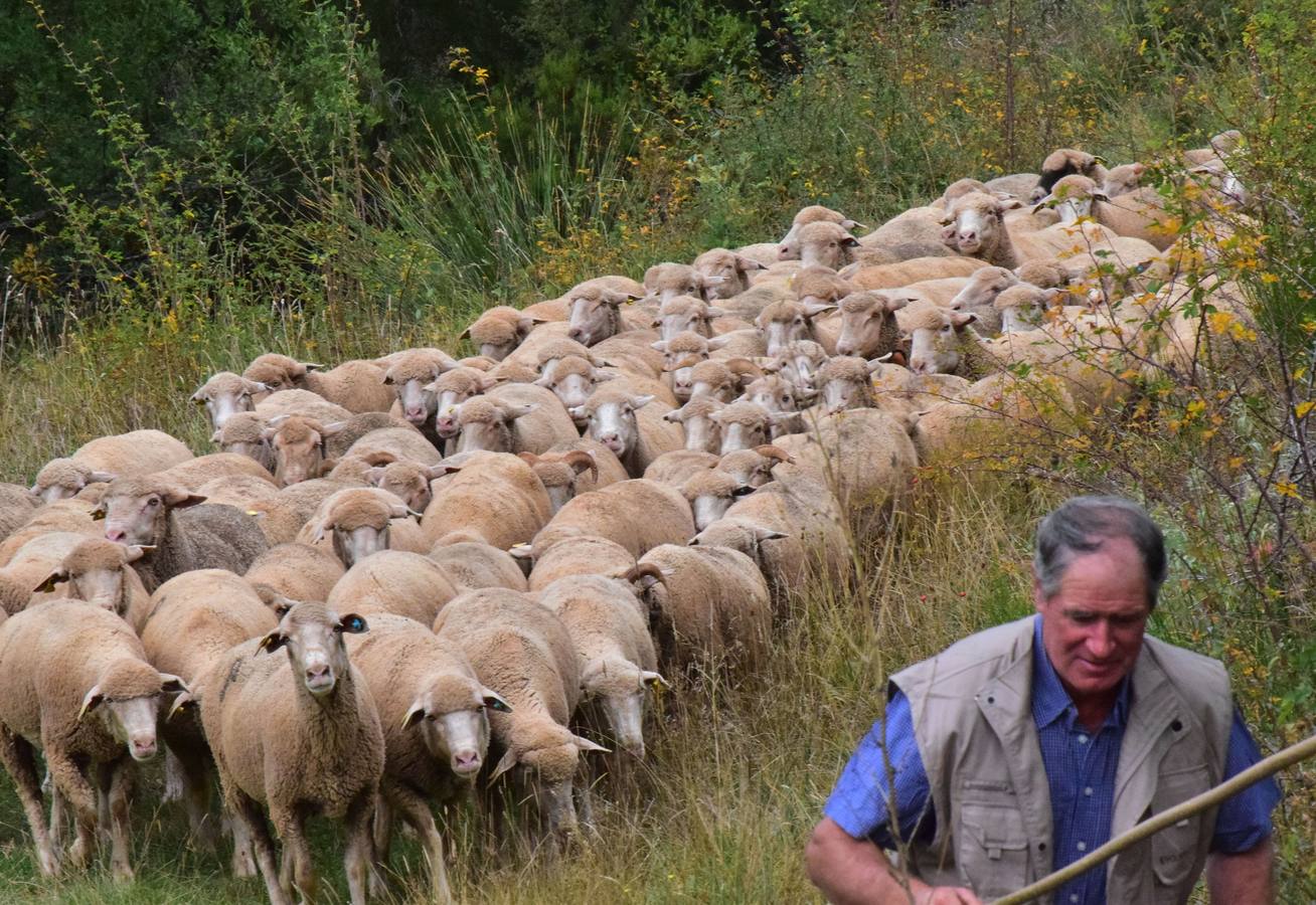 La Venta de Piqueras ha acogido esta tradicional cita