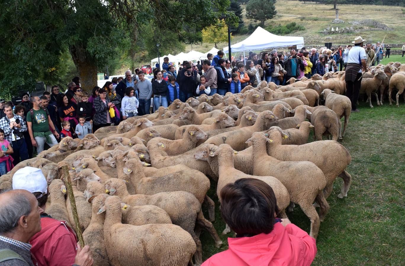 La Venta de Piqueras ha acogido esta tradicional cita