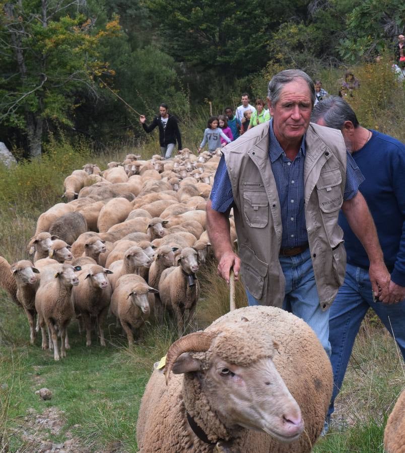 La Venta de Piqueras ha acogido esta tradicional cita